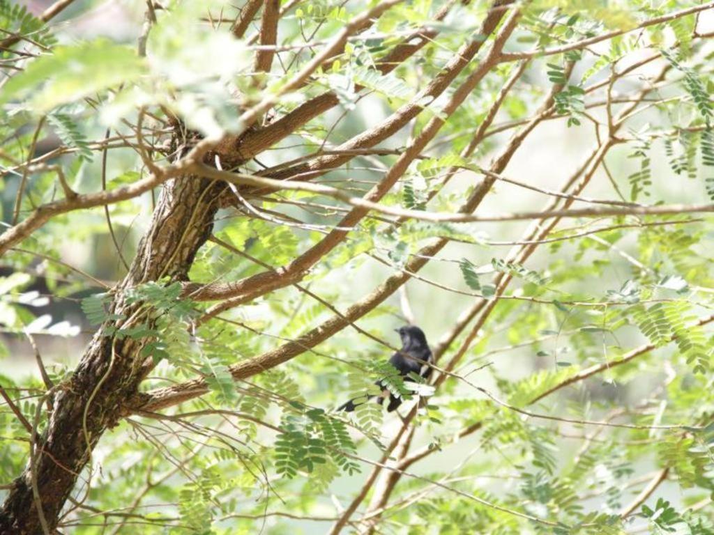 Rommai Rimnaam Resort Ranong Ngoại thất bức ảnh