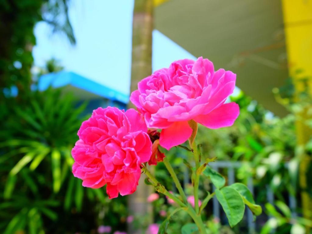 Rommai Rimnaam Resort Ranong Ngoại thất bức ảnh