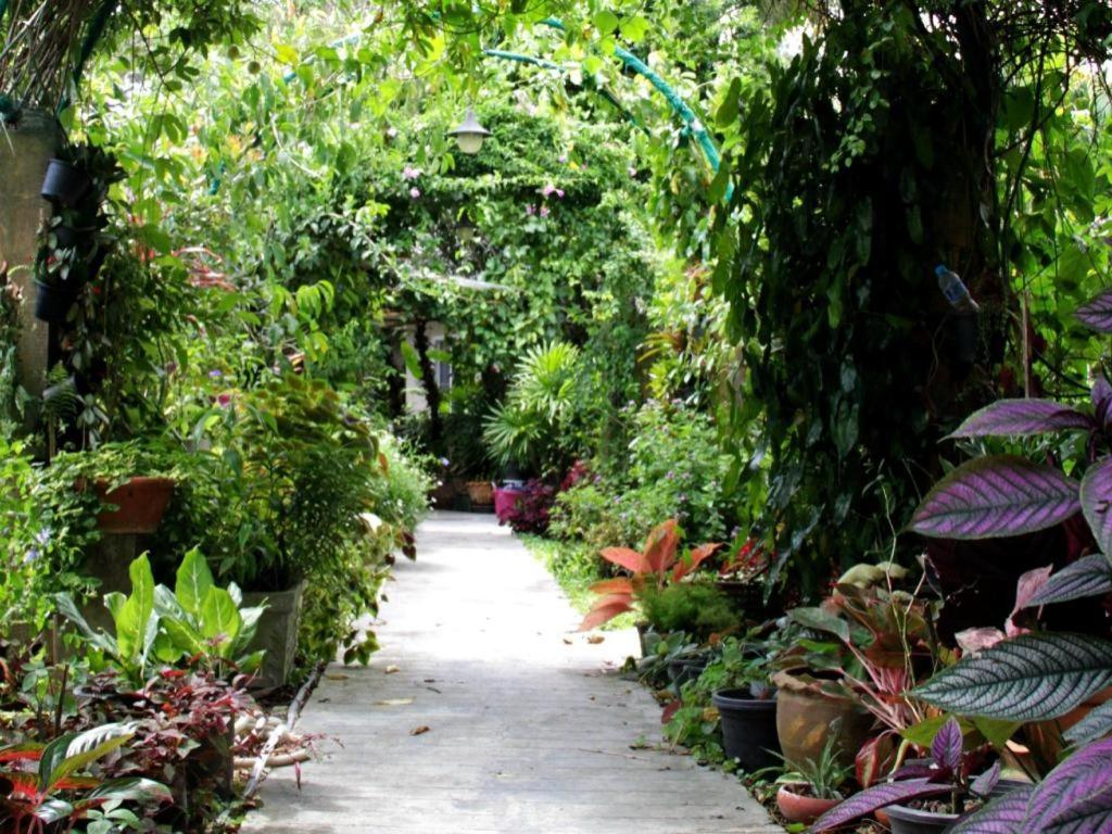 Rommai Rimnaam Resort Ranong Ngoại thất bức ảnh