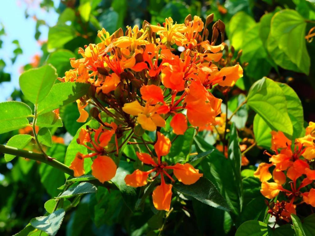 Rommai Rimnaam Resort Ranong Ngoại thất bức ảnh