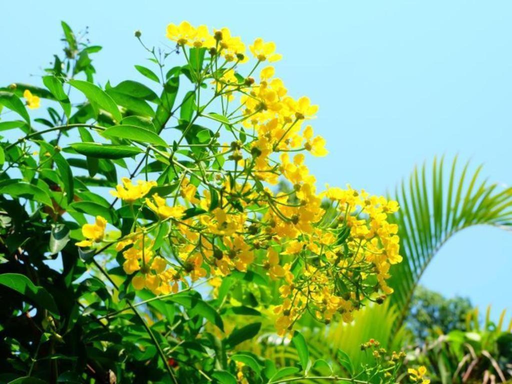 Rommai Rimnaam Resort Ranong Ngoại thất bức ảnh